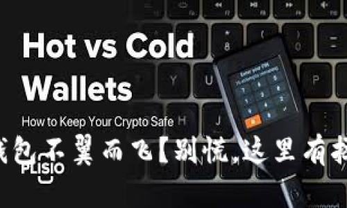 你的TP钱包不翼而飞？别慌，这里有拯救方案！