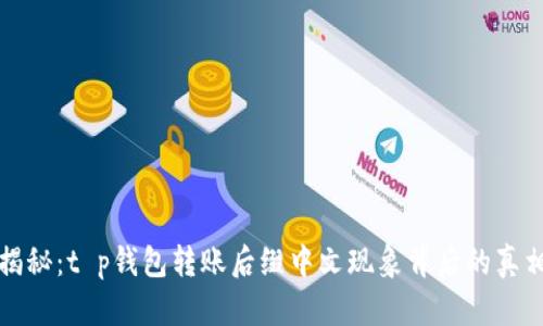 揭秘：t p钱包转账后缀中文现象背后的真相
