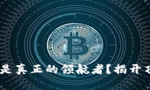 在加密货币海洋中，谁才是真正的领航者？揭开顶尖投资机构的神秘面纱