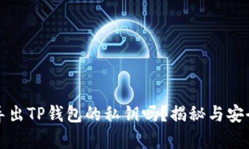 你真的需要导出TP钱包的私钥吗？揭秘与安全的真实挑战
