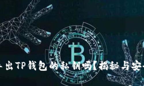 你真的需要导出TP钱包的私钥吗？揭秘与安全的真实挑战