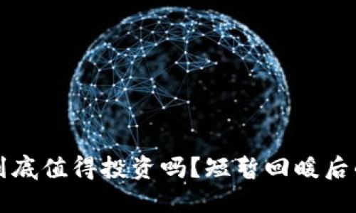 “加密货币到底值得投资吗？短暂回暖后的深思熟虑”