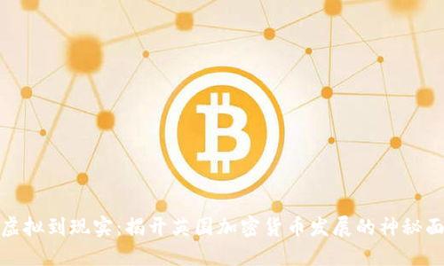 从虚拟到现实：揭开英国加密货币发展的神秘面纱
