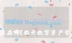 TP钱包中的币藏在哪？揭开