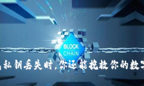 当TP钱包私钥丢失时，你还能挽救你的数字资产吗？