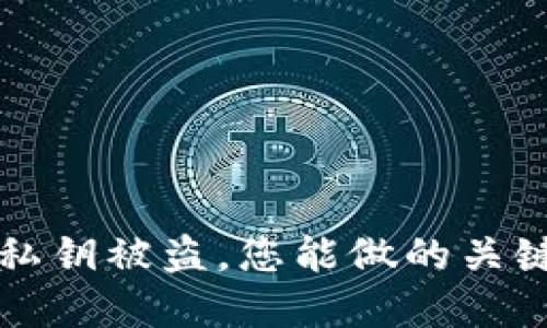 如果TP钱包私钥被盗，您能做的关键措施和行动