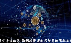 如何在波动中寻求机遇：