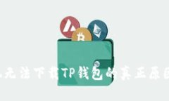 苹果手机无法下载TP钱包的