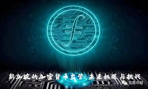 新加坡的加密货币监管：未来机遇与挑战