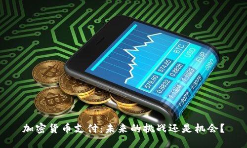 加密货币支付：未来的挑战还是机会？