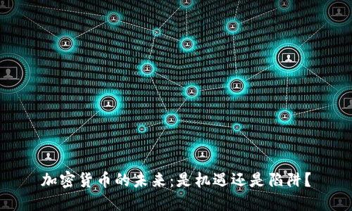 加密货币的未来：是机遇还是陷阱？