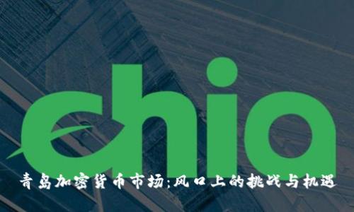 青岛加密货币市场：风口上的挑战与机遇