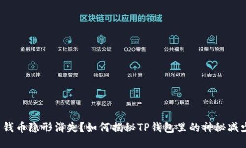  钱币隐形消失？如何揭秘TP钱包里的神秘减少