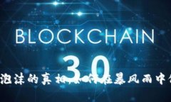 揭开加密货币泡沫的真相