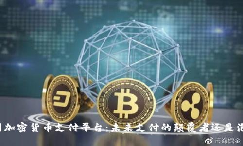 韩国加密货币支付平台：未来支付的颠覆者还是泡沫？