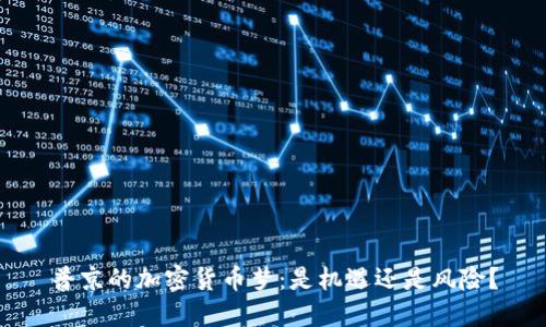 普京的加密货币梦：是机遇还是风险？