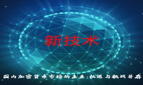 国内加密货币市场的未来：机遇与挑战并存