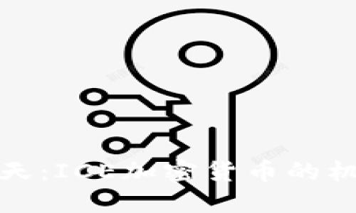 冰火两重天：ICE加密货币的机遇与挑战