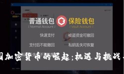 中国加密货币的崛起：机遇与挑战并存