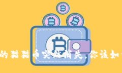 钱包里的猫猫币突然消失