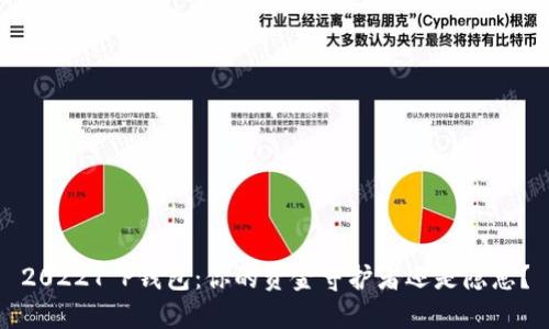 2022T P钱包：你的资金守护者还是隐患？