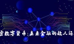 国家加密数字货币：未来