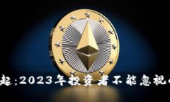加密货币崛起：2023年投资