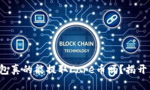 TP钱包真的能提取Core币吗？揭开真相！