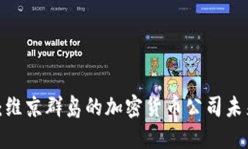 从繁荣到危机：维京群岛的加密货币公司未来将如何抉择？