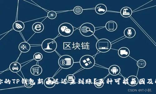 为什么你的TP钱包新币迟迟未到账？五种可能原因及解决方案