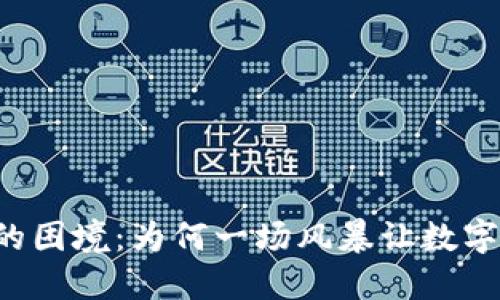 荷兰加密货币的困境：为何一场风暴让数字货币黯然退场？