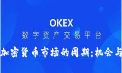 深入了解加密货币市场的