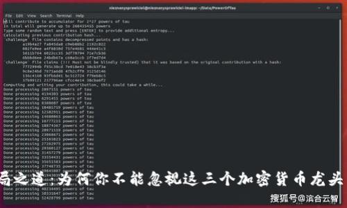 破局之道：为何你不能忽视这三个加密货币龙头币？