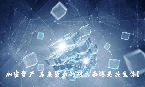 加密资产：未来货币的对立面还是共生体？