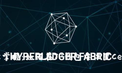 轻松掌握：如何在TP钱包中设置Celo链