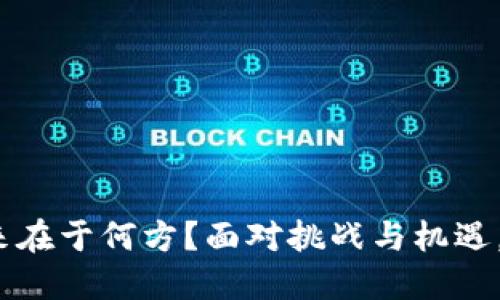 加密货币的未来在于何方？面对挑战与机遇，您准备好了吗？