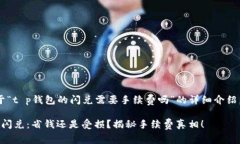下面是关于“t p钱包的闪
