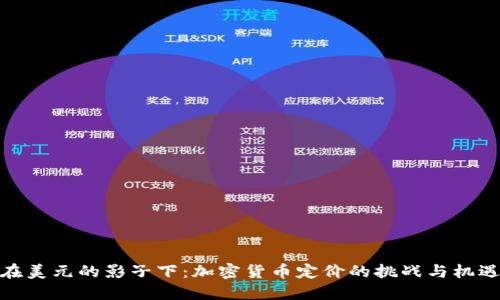 在美元的影子下：加密货币定价的挑战与机遇
