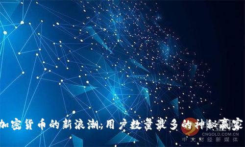 加密货币的新浪潮：用户数量最多的神秘赢家！