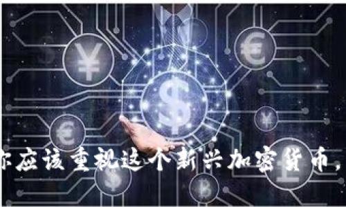 “DavidBen：为什么你应该重视这个新兴加密货币，而不是另追逐热门？”