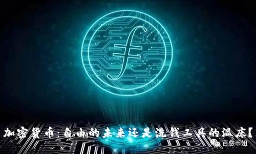 加密货币：自由的未来还是洗钱工具的温床？