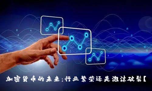 加密货币的未来：行业繁荣还是泡沫破裂？