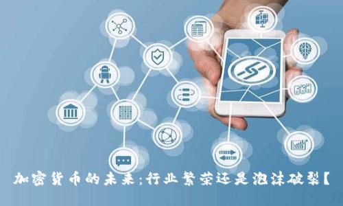 加密货币的未来：行业繁荣还是泡沫破裂？