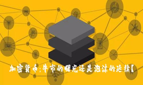 加密货币：牛市的曙光还是泡沫的延续？