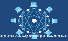 为什么95元的加密货币投资