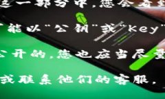 为了查看TP钱包中的公钥，