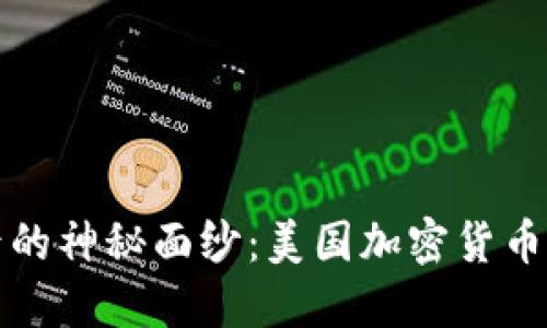 揭开虚拟货币背后的神秘面纱：美国加密货币调查的现状与未来
