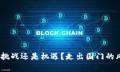 加密货币：挑战还是机遇