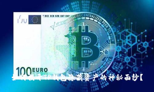 如何揭开TP钱包隐藏资产的神秘面纱？