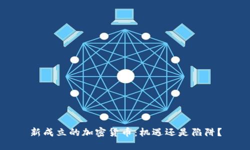 新成立的加密货币：机遇还是陷阱？